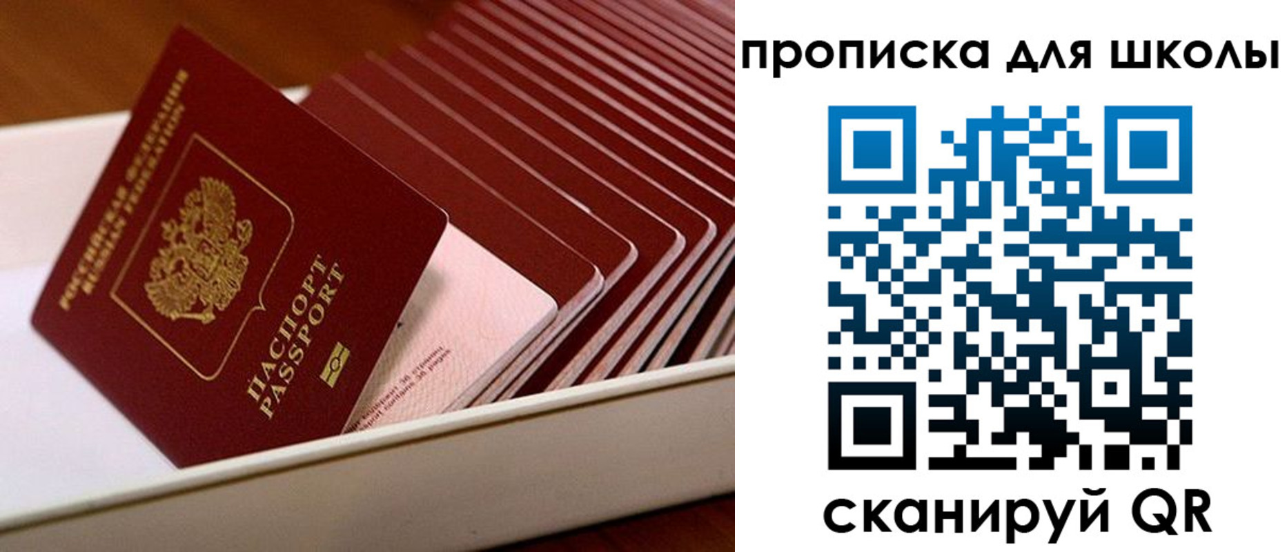 временная регистрация гарантия в Клинцах